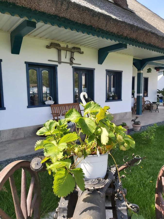 Agropensiunea Beluga Gorgova Exterior photo